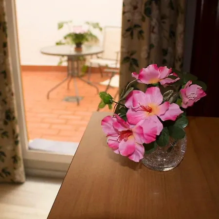 Acogedor Apartamento. Mezquita Wifi Córdoba Buitenkant foto